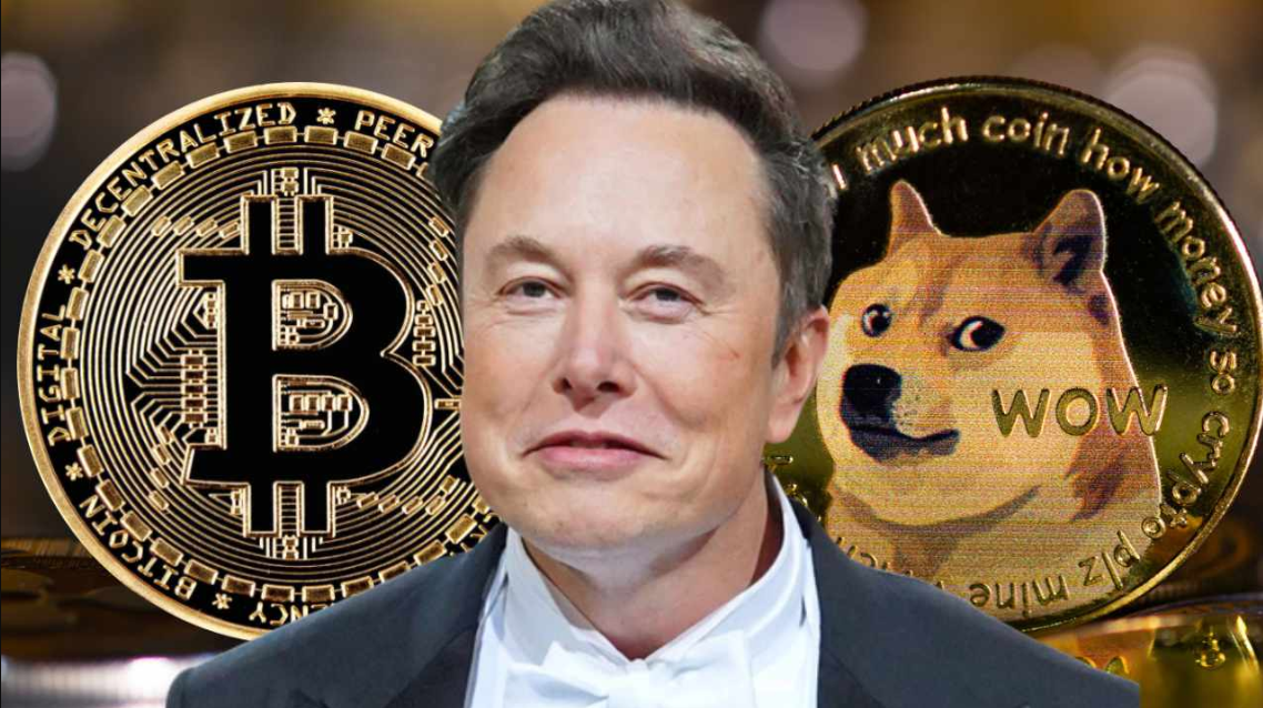 DOGE di X Payment. (Doc. Bitcoin)