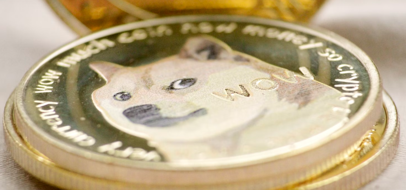 Doge sebagai salah satu meme coin. (Doc. Unsplash)